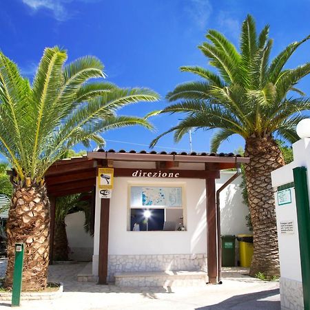 Residence La Conchiglia Vieste Bagian luar foto