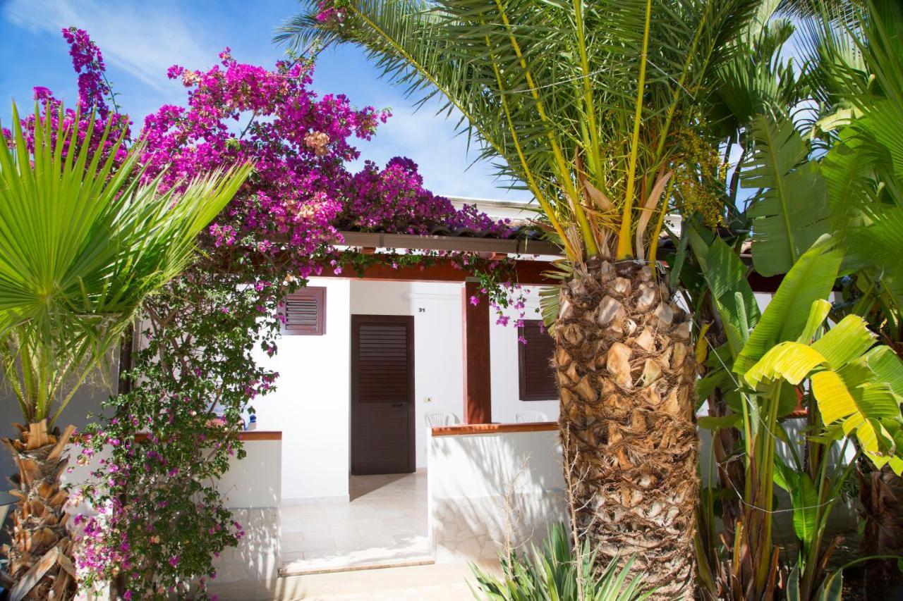 Residence La Conchiglia Vieste Bagian luar foto