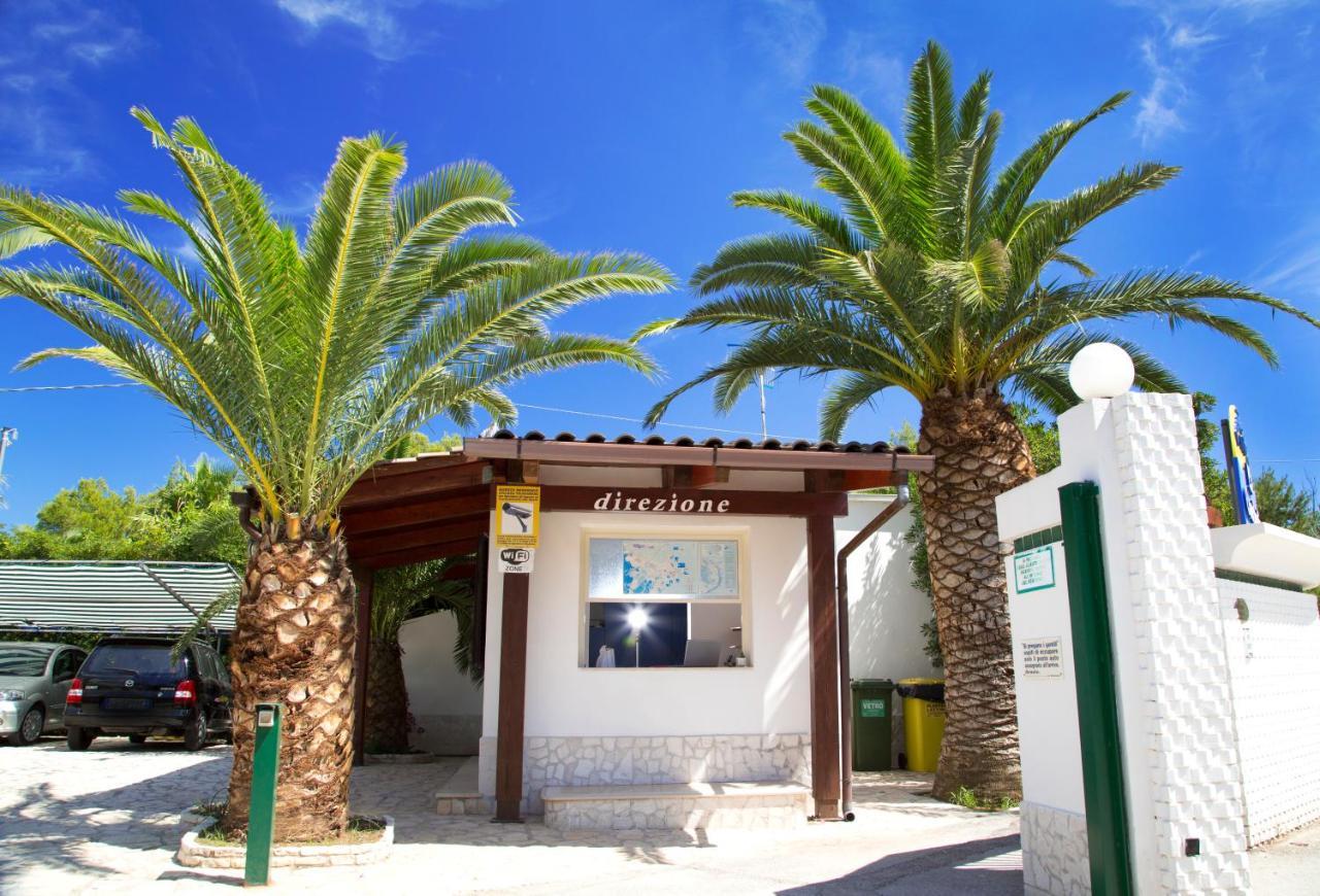Residence La Conchiglia Vieste Bagian luar foto