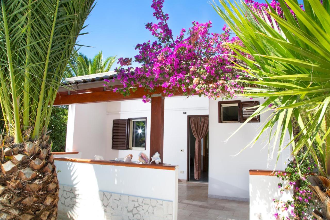 Residence La Conchiglia Vieste Bagian luar foto